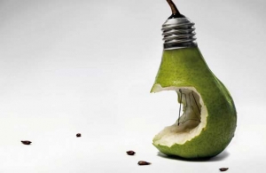 Pear | Mortgage Broker